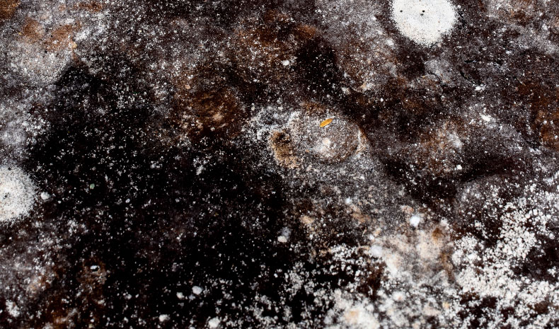 DM_Serie_Hymenoptera-Galaxias_110x128cm_MG_8038-(1)