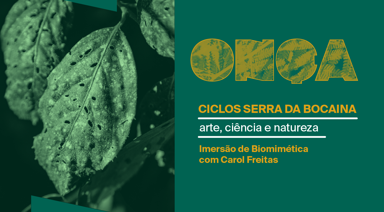 Imersão de Biomimética