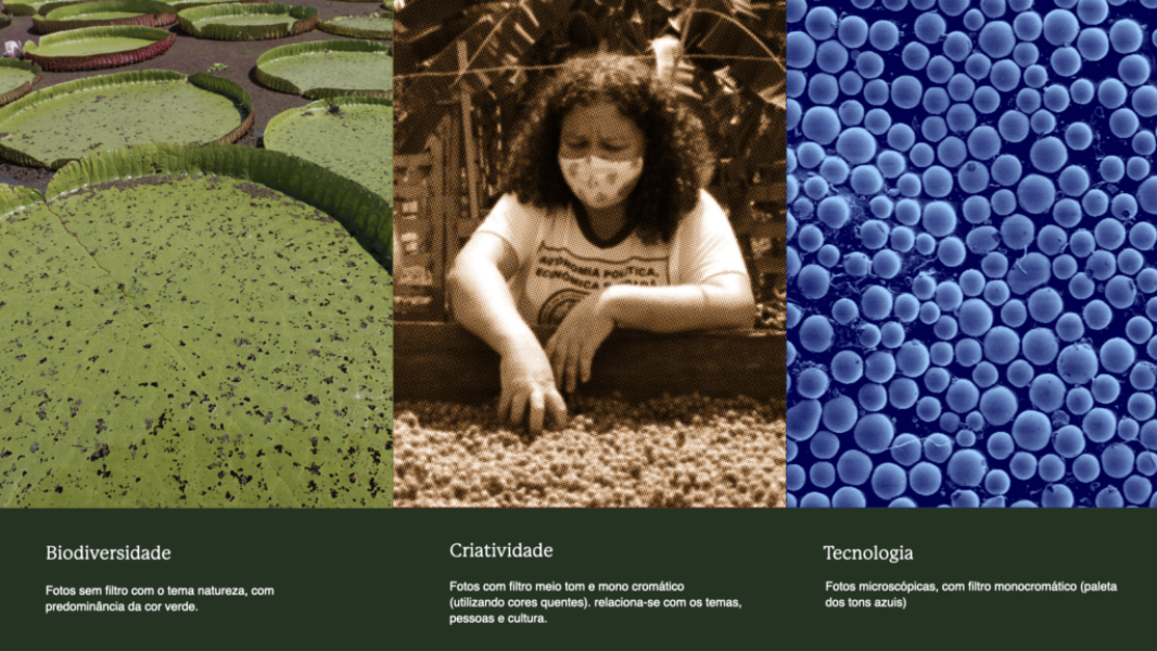 2021 Livro da Marca AMZ 4.0 by NOUS.040